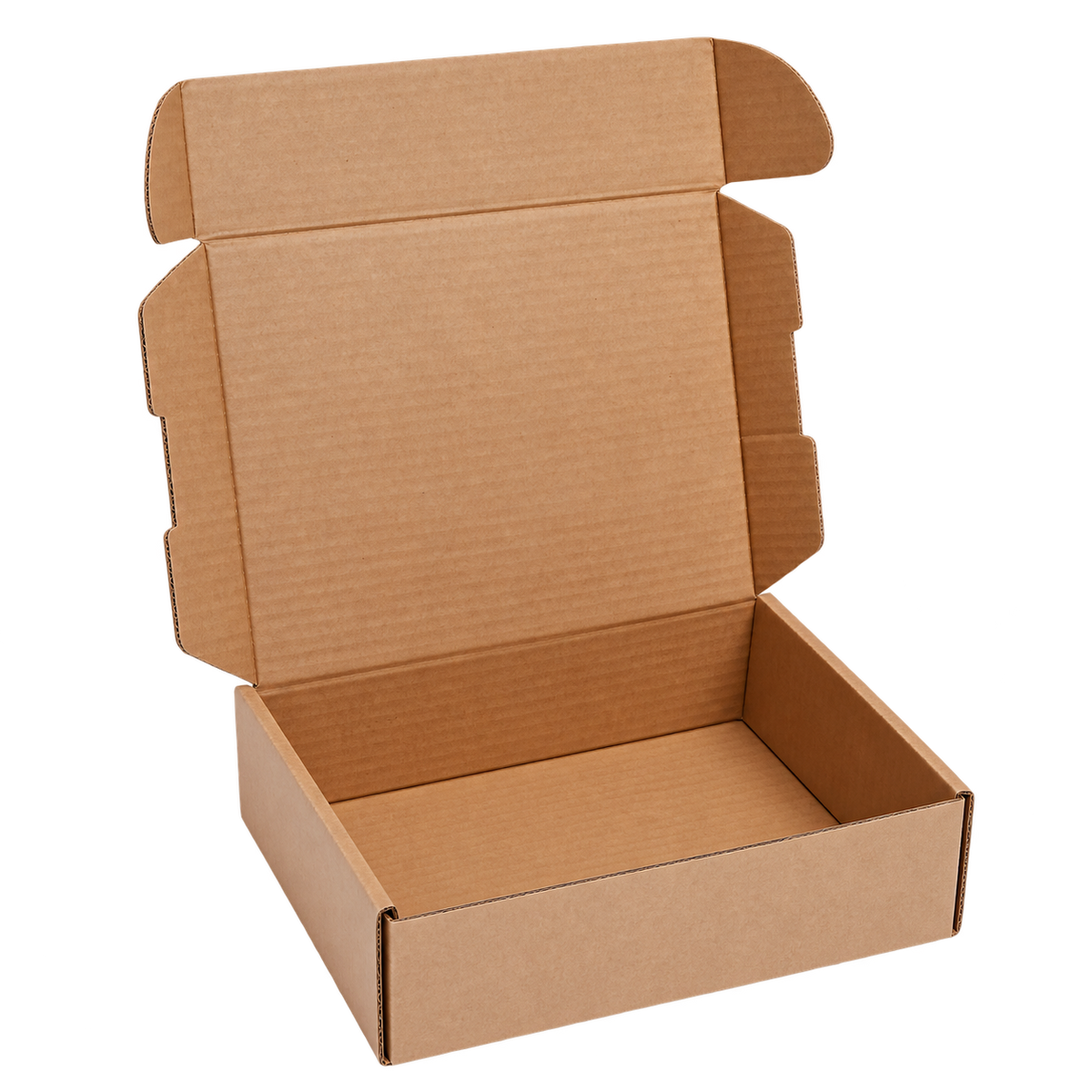 CarryColor skateboard bag packed in a sturdy shipping carton